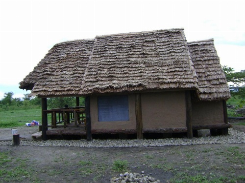 Tembo Tarangire Lodge & Camp image 18