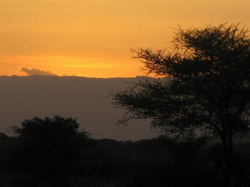 Tembo Tarangire Lodge & Camp image 25