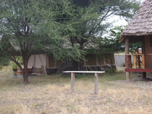 Tembo Tarangire Lodge & Camp image 29