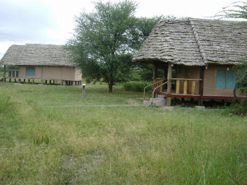 Tembo Tarangire Lodge & Camp image 36