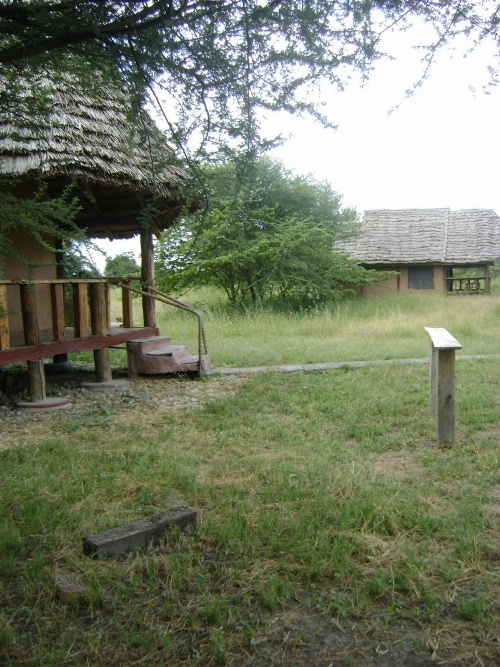 Tembo Tarangire Lodge & Camp image 4