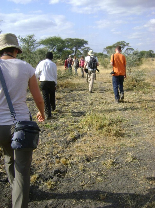 Tembo Tarangire Lodge & Camp image 8